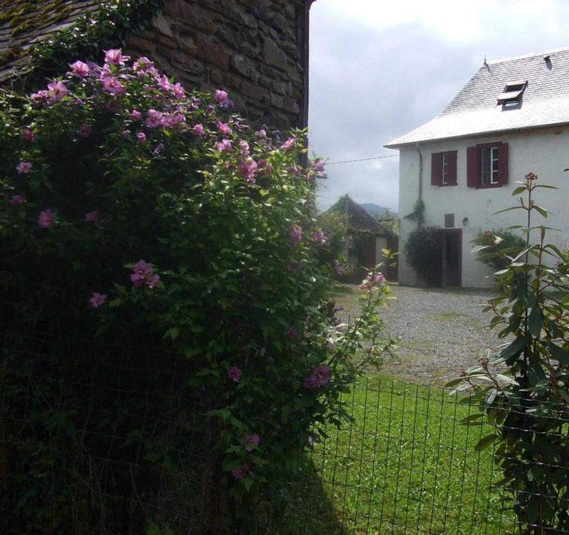 Chambres D'Hotes Maison Paillet Montory Eksteriør bilde